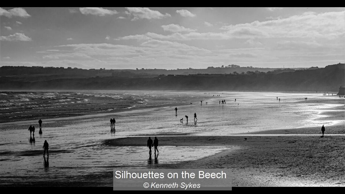 Silhouettes on the Beech